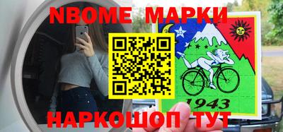 шишки Камышлов