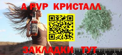 шишки Камышлов