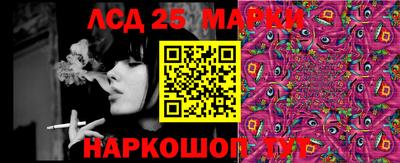 шишки Камышлов