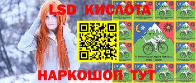 шишки Камышлов