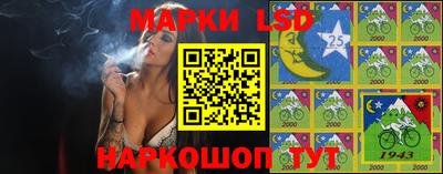 шишки Камышлов