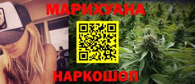 шишки Камышлов