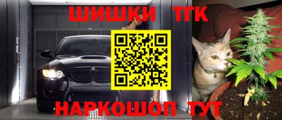 шишки Камышлов
