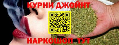 шишки Камышлов