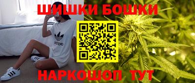 шишки Камышлов