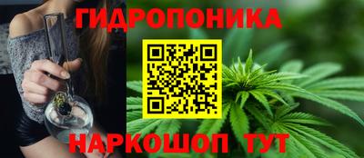 шишки Камышлов