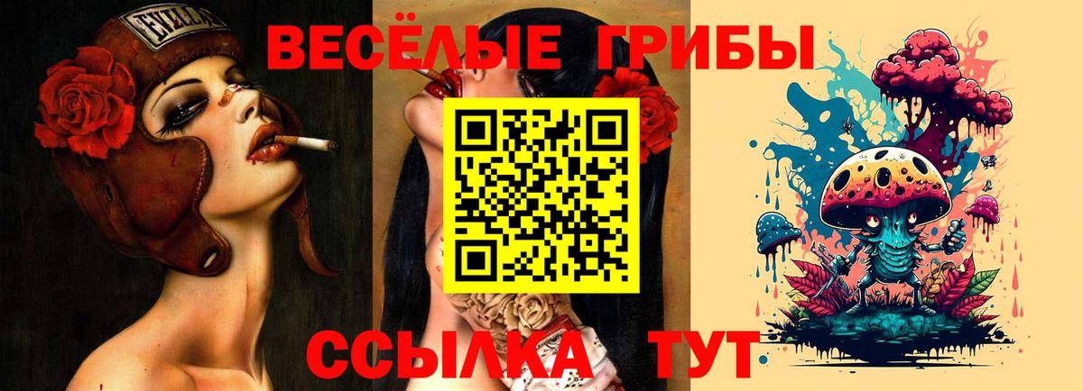 где найти наркотики  Псилоцибиновые грибы Cubensis  Вход с VPN  Крымск  Галлюциногенные грибы Psilocybine cubensis 